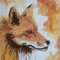 Grey Fox
