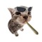 Raizy