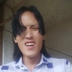 Trương Hán Siêu