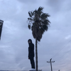 yungfrito_d