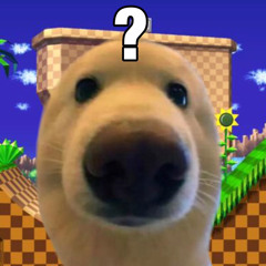 gay dog the sonic fan