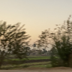 Amira.Hosny