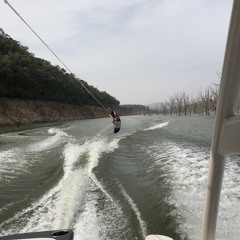 Max Solari