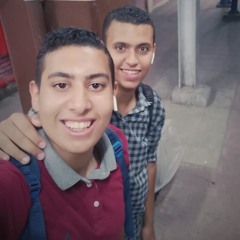 Sobhy Hassanin