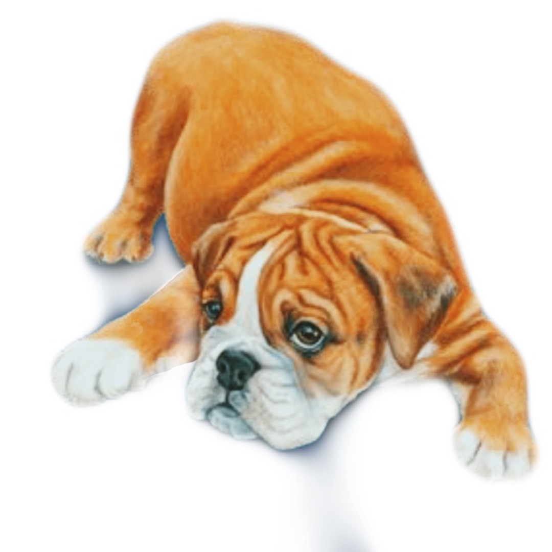 Stream always do what you should do music | Listen to songs