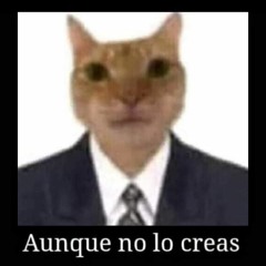 Aron momichis