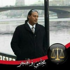 المستشار عماد السيسي