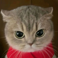 ryko
