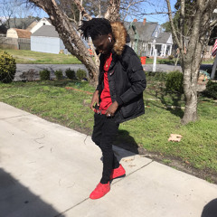 Big Tavo