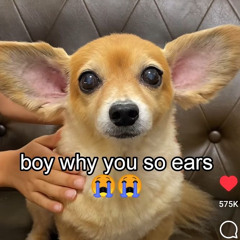 ദ്ദി ˉ͈̀꒳ˉ͈́ )✧ lennnaaa