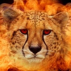 Fire Cheetah Music