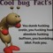 read my pfp for a cool bug fact