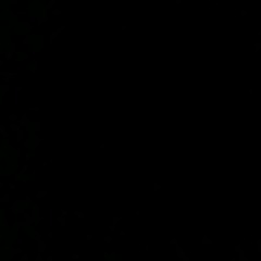 QSM_313