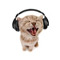 sound cat