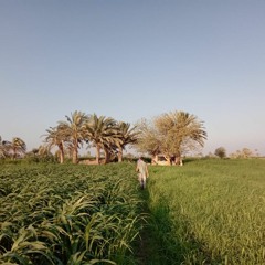 عطاء
