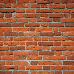 Wall Kiddo