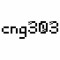 cng303