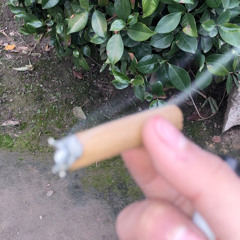 slongpapi