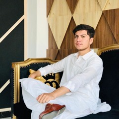 Qaiserkhan MANDOKHAIL