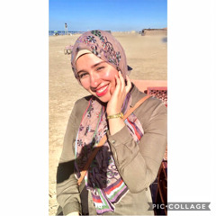Merna Muhammed Fakhry