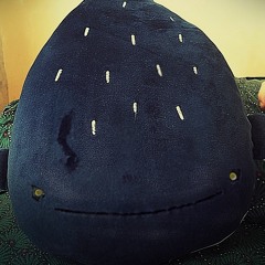 Ruvi (Vincent van Rush WHW)