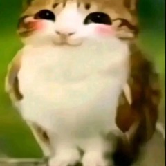Ilikesongsguy