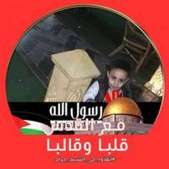 Mohamed Besher Abo Hamza