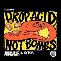 Saulya & Radic - Shook