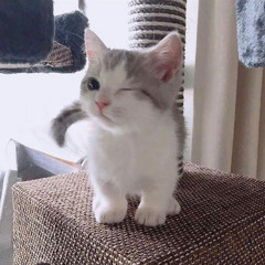 안서영