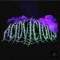 ACID VICIOUS