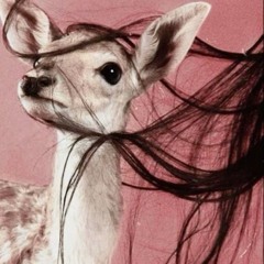 زَهراء .