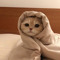 Lienmew