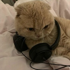 sh_🎵