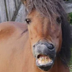 Ohnoitsjean