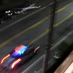 seattlenate