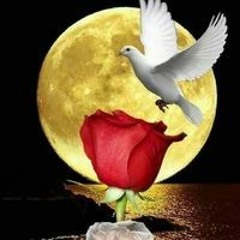 دمعه حزن