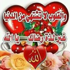 احمد محمد