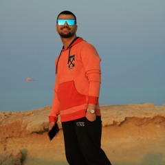 hamed zed