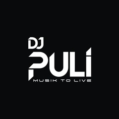 DJ PULI