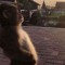 @fourtun4te