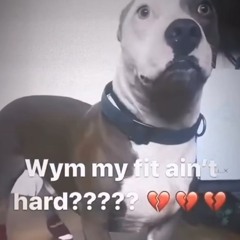 ive spend my life waiting