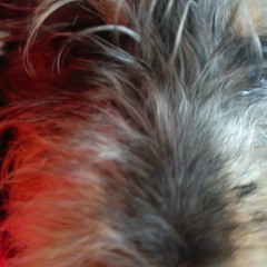 †;<lou-_-manaki;<†