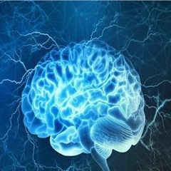 إبراهيم محمد عبد الستار