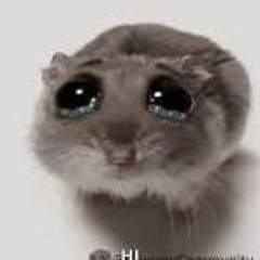 😄😄 6741tacohi6741😄😄