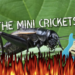 The Mini Crickets