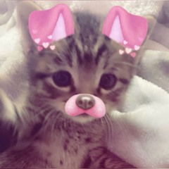 MACKENZIE MANGLES