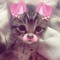 MACKENZIE MANGLES