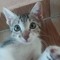 VitorOficial ඞ