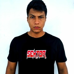 SEKTOR