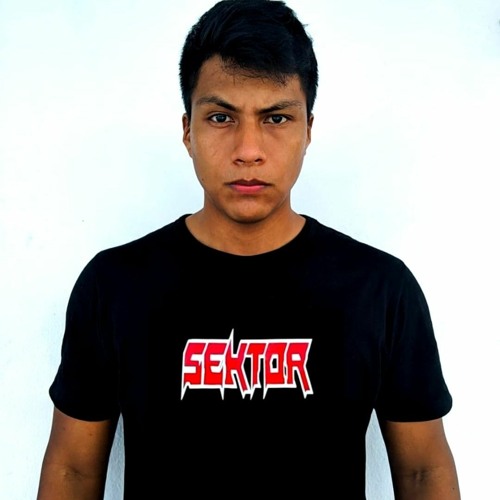Stream SEKTOR music | Listen to songs, albums, playlists for free on ...